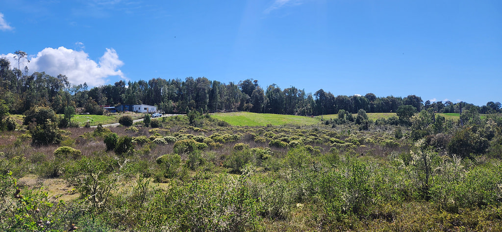 Parcelas en Chiloé