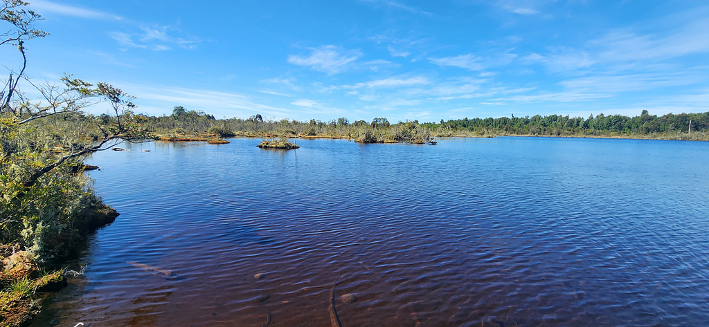 Parcelas en Quemchi, Laguna Quemchi
