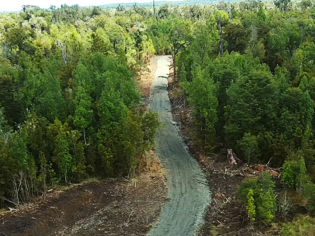 Vista panorámica del proyecto Laguna Quemchi con caminos y rodeados de bosque.