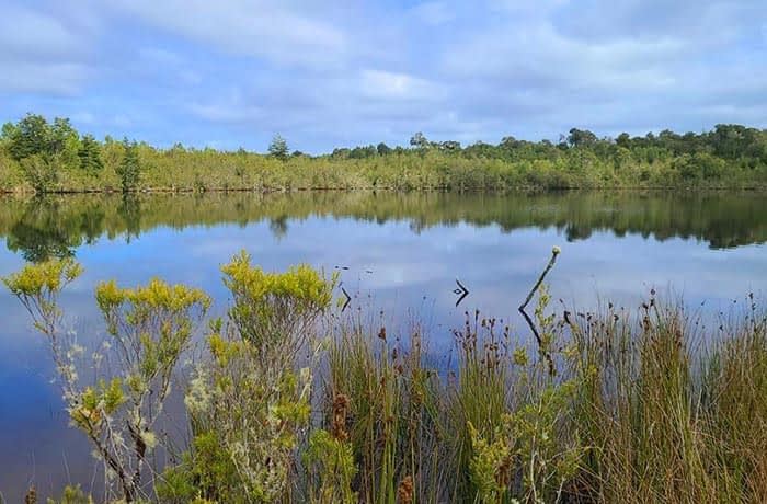 Laguna Quemchi