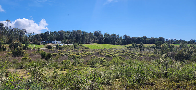 Parcelas en Chiloé